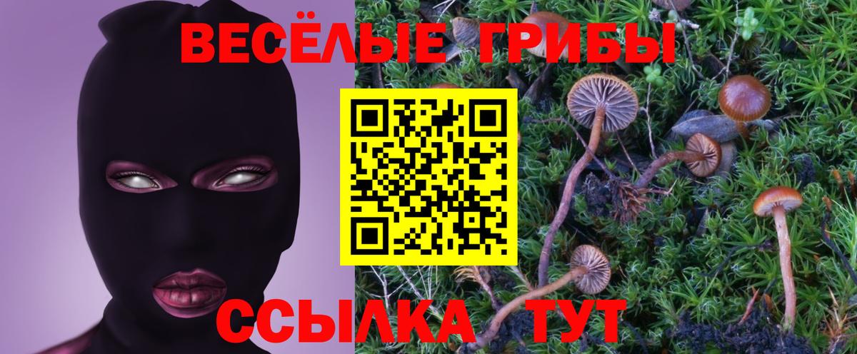 Псилоцибиновые грибы мухоморы Новоуральск